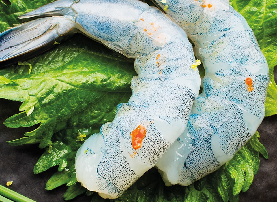 deux crevettes décortiquées sur de la salade