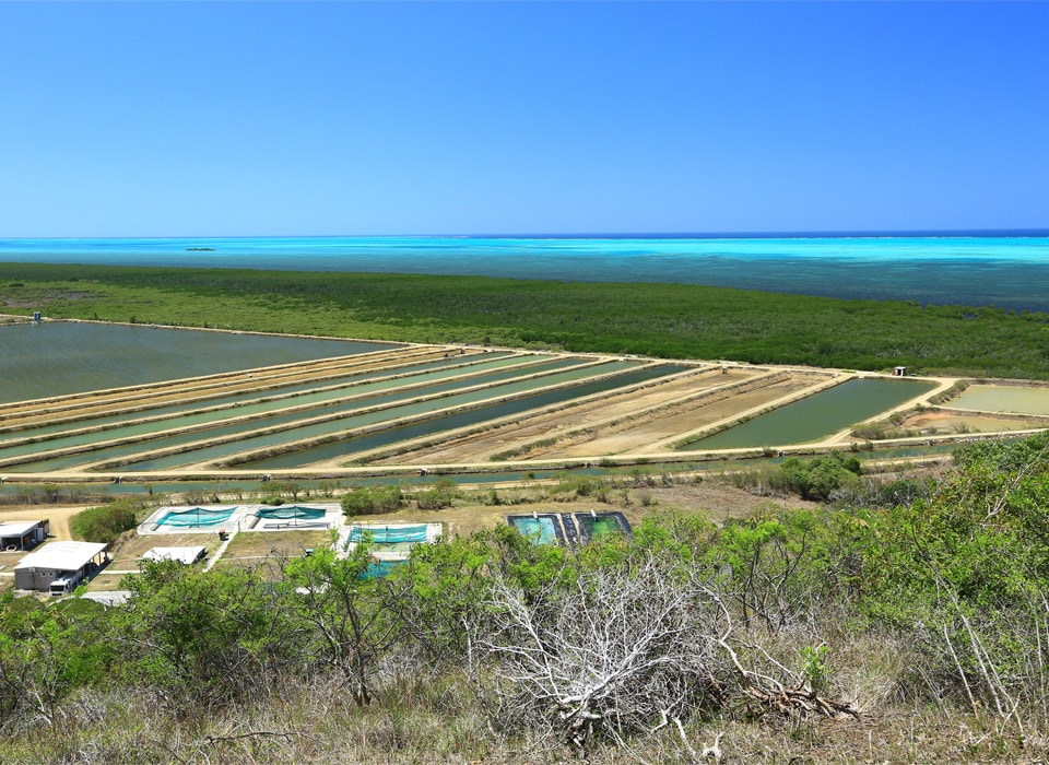 Ferme aquacole